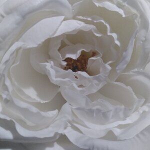 Meet your Posher, Pamela